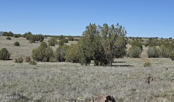 Ten Tanks Rd lot 6, Ash Fork, AZ 86320