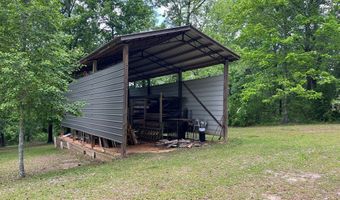 340 S Lakeview Dr, Abbeville, AL 36310