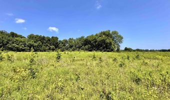 Flint Rd. E 0, Attica, IN 47918