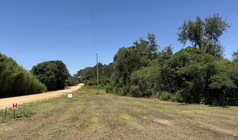 006 H Wallace Buie Rd, Ashford, AL 36376
