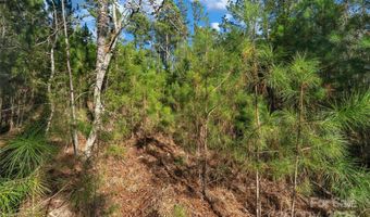 Old Douglass Road unit 3 3, Blackstock, SC 29014