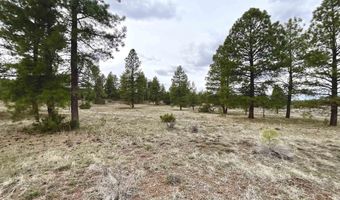99 Big Notch Forest Trl, Bluewater, NM 87005