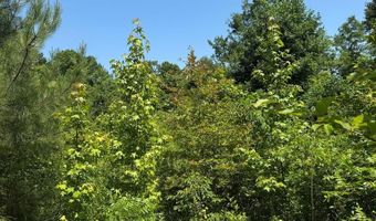 Cr 244, Abbeville, MS 38601