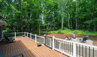 1016 Maple Hill Ave SE, Ada, MI 49301