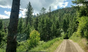 Arlee Pines lot 20, Arlee, MT 59821