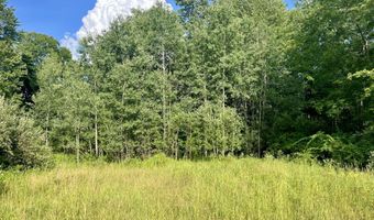 1143 38th St, Allegan, MI 49010