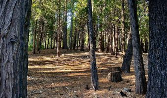 3285 Pocatello Cir, Camp Connell, CA 95223