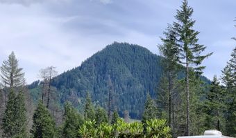 54432 McKenzie Hwy 35, Blue River, OR 97413