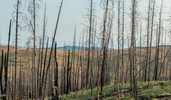 TRACT 17 FISHERMAN CREEK Road, Bondurant, WY 82922
