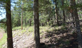 9 County Road 2073, Alpine, AZ 85920