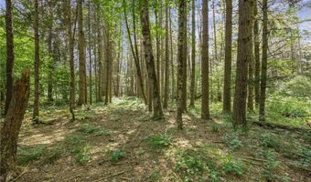 8339 Middle Rd, Angelica, NY 14709