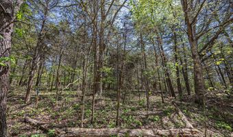 2 Shain Dr, Bardstown, KY 40004