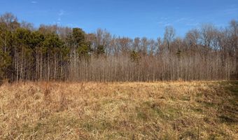 BLACK SWAMP ROAD, Felton, DE 19943