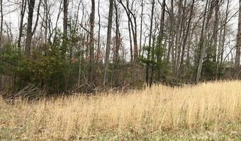 Della Lane lot 6 8, Austinville, VA 24312