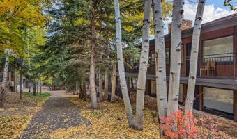 731 S Mill St 3A, Aspen, CO 81611