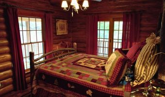 6402 Rustic Pine Trl, Alanson, MI 49706