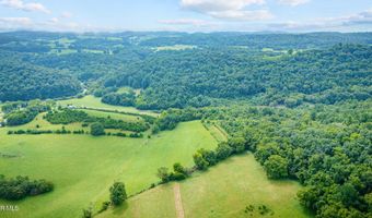 1385 Betsy Ross Rd, Afton, TN 37616