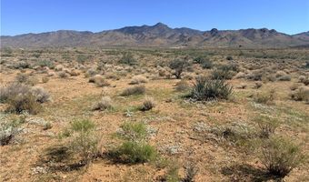 Palo Verde Drive, Chloride, AZ 86431