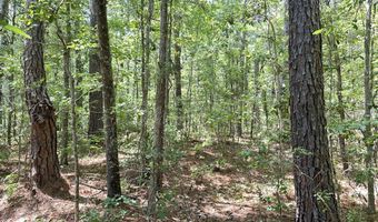 Highway 17A, Bonneau, SC 29431