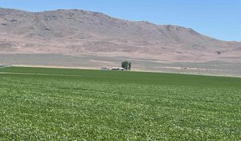 51955 Wilder Creek Rd, Denio, NV 89404