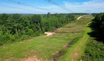 AL HWY 223, Banks, AL 36005