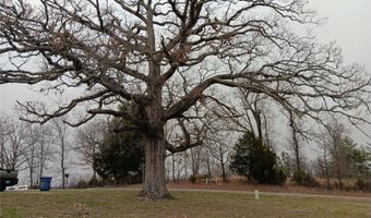 20738 W Highway 76, Ava, MO 65608