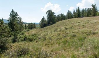268 HIGH RIVER Ct, Alma, CO 80420