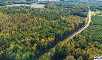 TBD I M Graham Rd, Cades, SC 29518