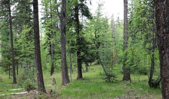 Nhn Black Wolf Trail, Bigfork, MT 59911