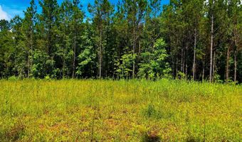 Arthur Drive, Brookhaven, MS 39601
