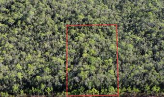 Lot 15 Peachtree Rd, Apalachicola, FL 32320