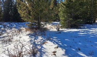 3553 RIVER Dr, Alma, CO 80420