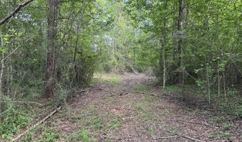 1311 A N Jackson St, Brookhaven, MS 39601
