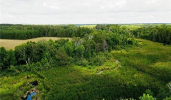 Parcel 3 Hwy 87, Backus, MN 56435