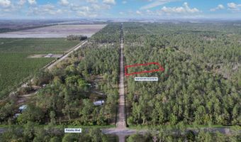 10540 HENNESSEY Ave, Hastings, FL 32145