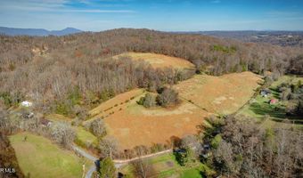 1520 Brittontown Rd, Afton, TN 37616