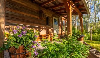 1350 Old Herron Rd, Basalt, CO 81621