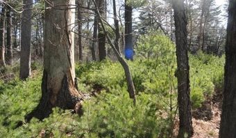 Lot 16 Fly Rod Trail, Wisconsin Rapids, WI 54494