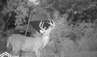 560 Th Ave, Albia, IA 52531