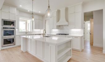 115 Esther Ct, Millsap, TX 76066