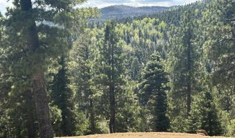 Lot 91ab Pam Coleman Drive, Angel Fire, NM 87710