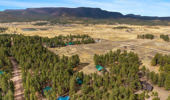 7 County Road 2312, Alpine, AZ 85920