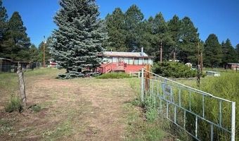 14 County Road 2117, Alpine, AZ 85920