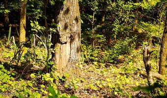Cypress Pointe Drive lot 8, Brooksville, MS 39739
