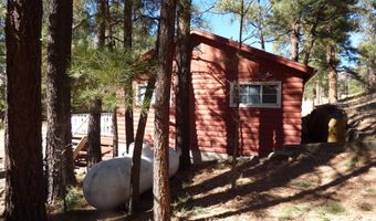 14 16 N CR 2057, Alpine, AZ 85920