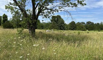 676 County Road 403, Alton, MO 65606