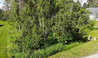 6430 6648 Admirals Point Drive Lot 9 Boat Slip 142, Alanson, MI 49706