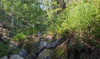 Old Camp Rd, Bellvue, CO 80512