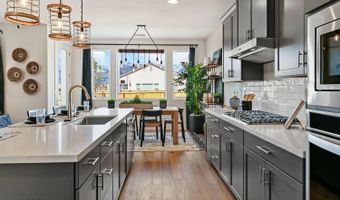 585 Sage Grouse Loop, Gardnerville, NV 89460