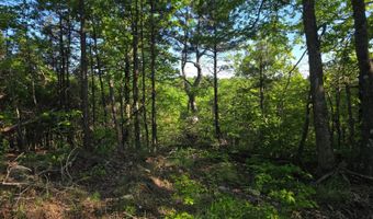 TR 59 60 & 11 K-TRAIL, Albion, OK 74571
